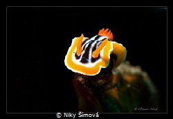 nudi... by Niky Šímová 